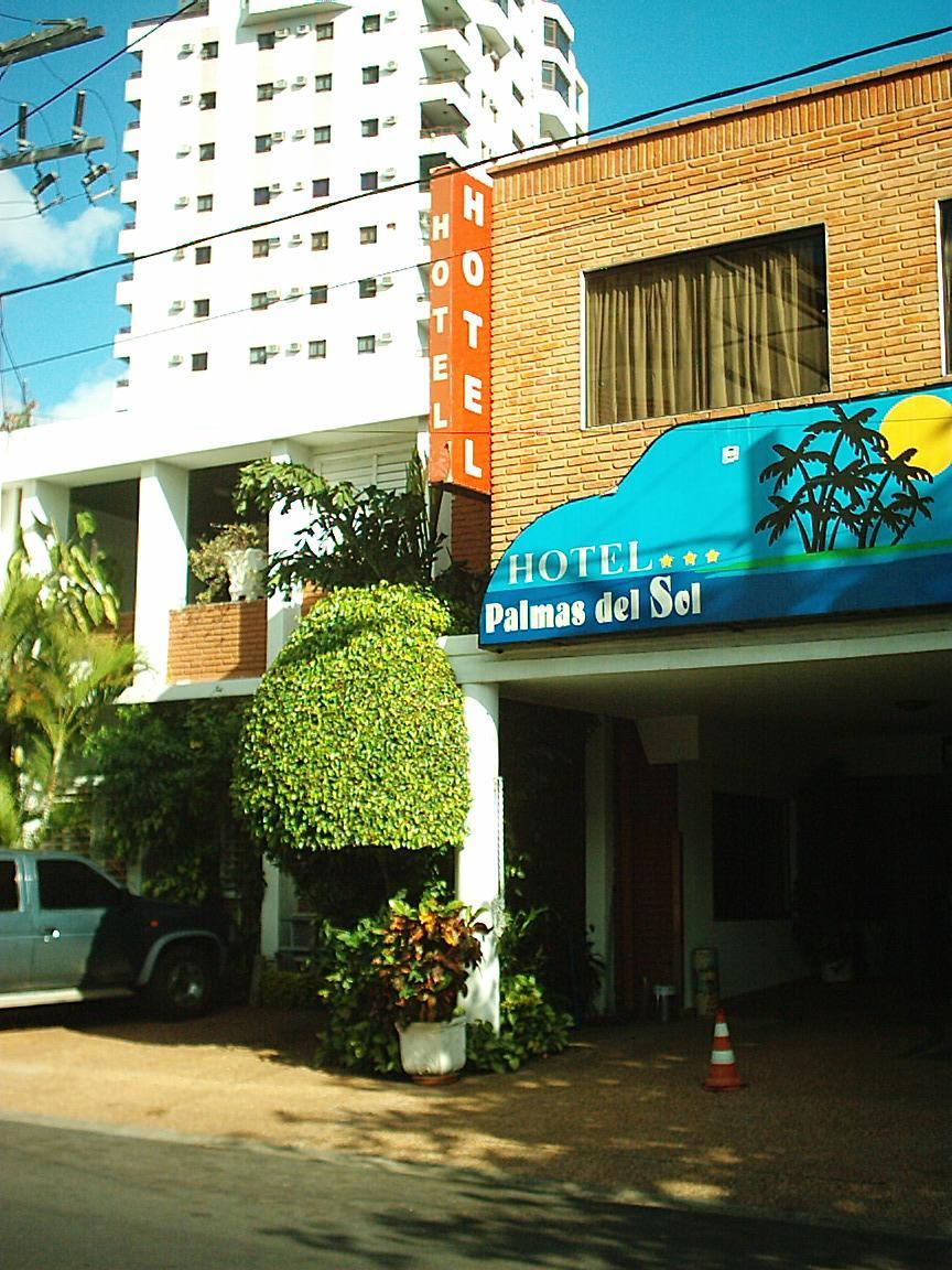 Hotel Palmas Del Sol Асунсион Екстериор снимка